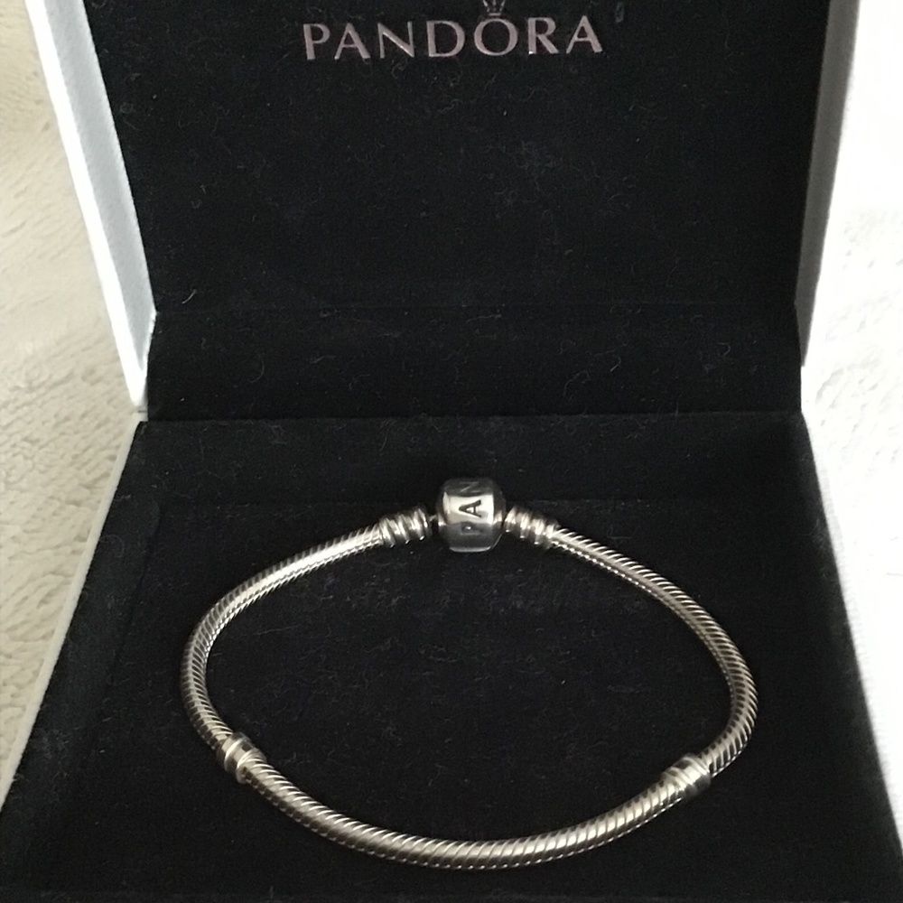 NWOT Pandora bracelet snake chain